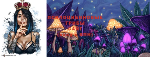 эйфоретик Алексин
